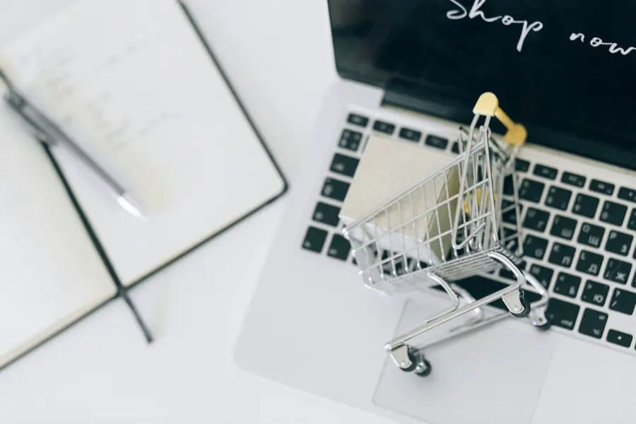 Tutto quello che c’è da sapere sugli eCommerce B2B